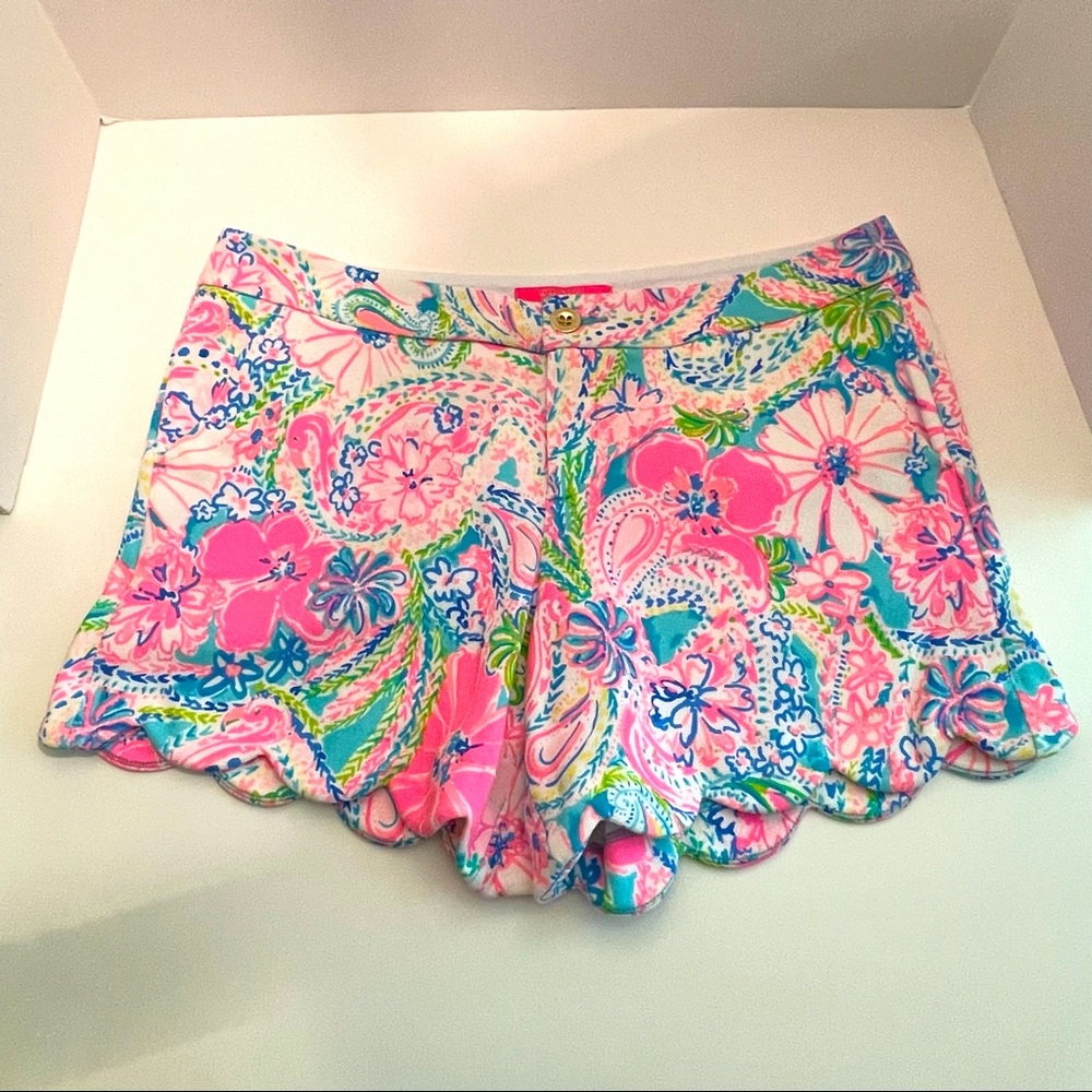 🍊🌴Buttercup Shorts, “Flock Full of Fun”, size 12
